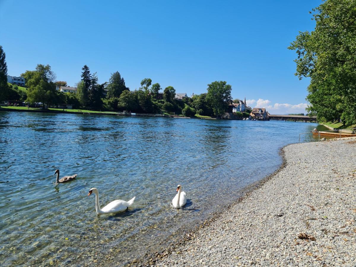Ferienwohnung Rheinblick In Buesingen -Keine Monteure- Busingen Buitenkant foto