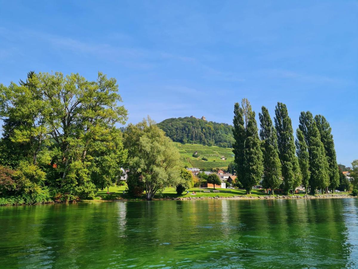 Ferienwohnung Rheinblick In Buesingen -Keine Monteure- Busingen Buitenkant foto