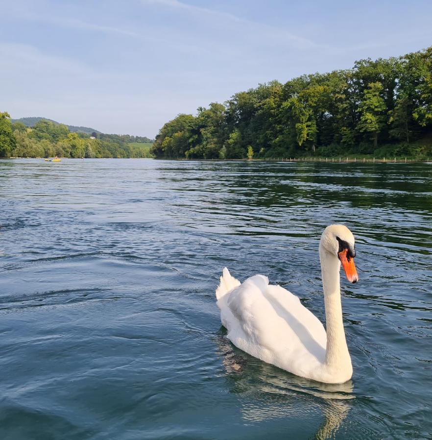 Ferienwohnung Rheinblick In Buesingen -Keine Monteure- Busingen Buitenkant foto