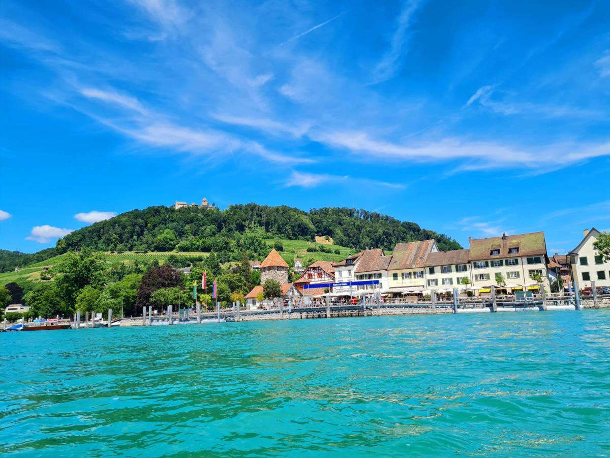 Ferienwohnung Rheinblick In Buesingen -Keine Monteure- Busingen Buitenkant foto