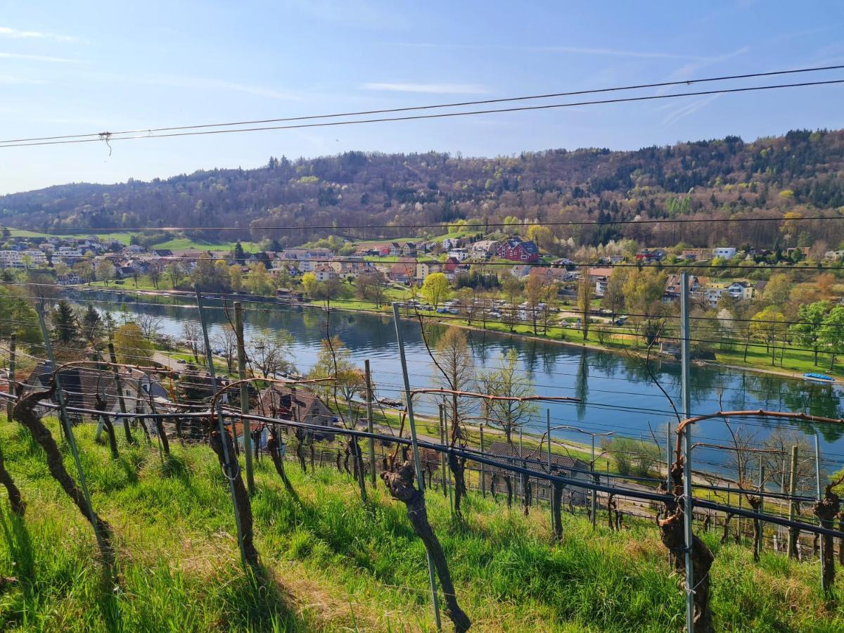 Ferienwohnung Rheinblick In Buesingen -Keine Monteure- Busingen Buitenkant foto
