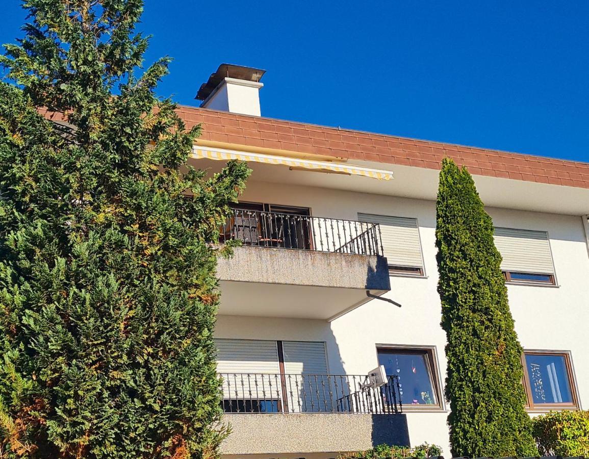 Ferienwohnung Rheinblick In Buesingen -Keine Monteure- Busingen Buitenkant foto