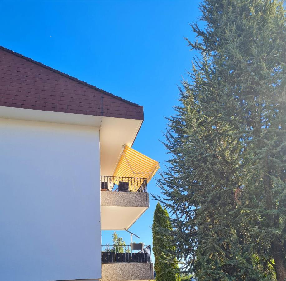 Ferienwohnung Rheinblick In Buesingen -Keine Monteure- Busingen Buitenkant foto